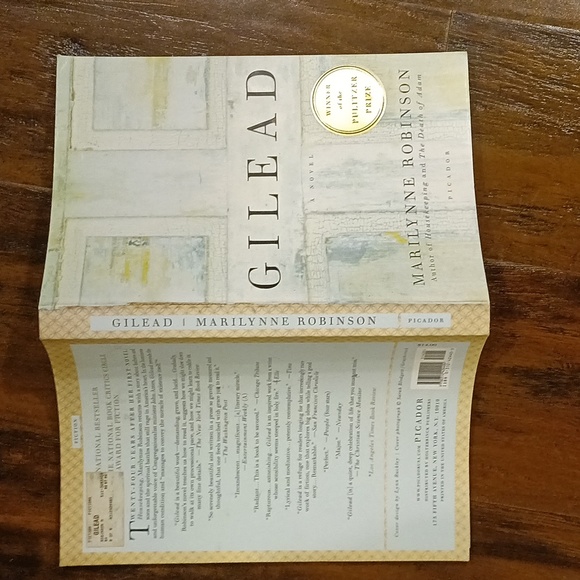 Gilead | Depths | A Good American | 3 Fiction Book Bundle - Picture 8 of 10